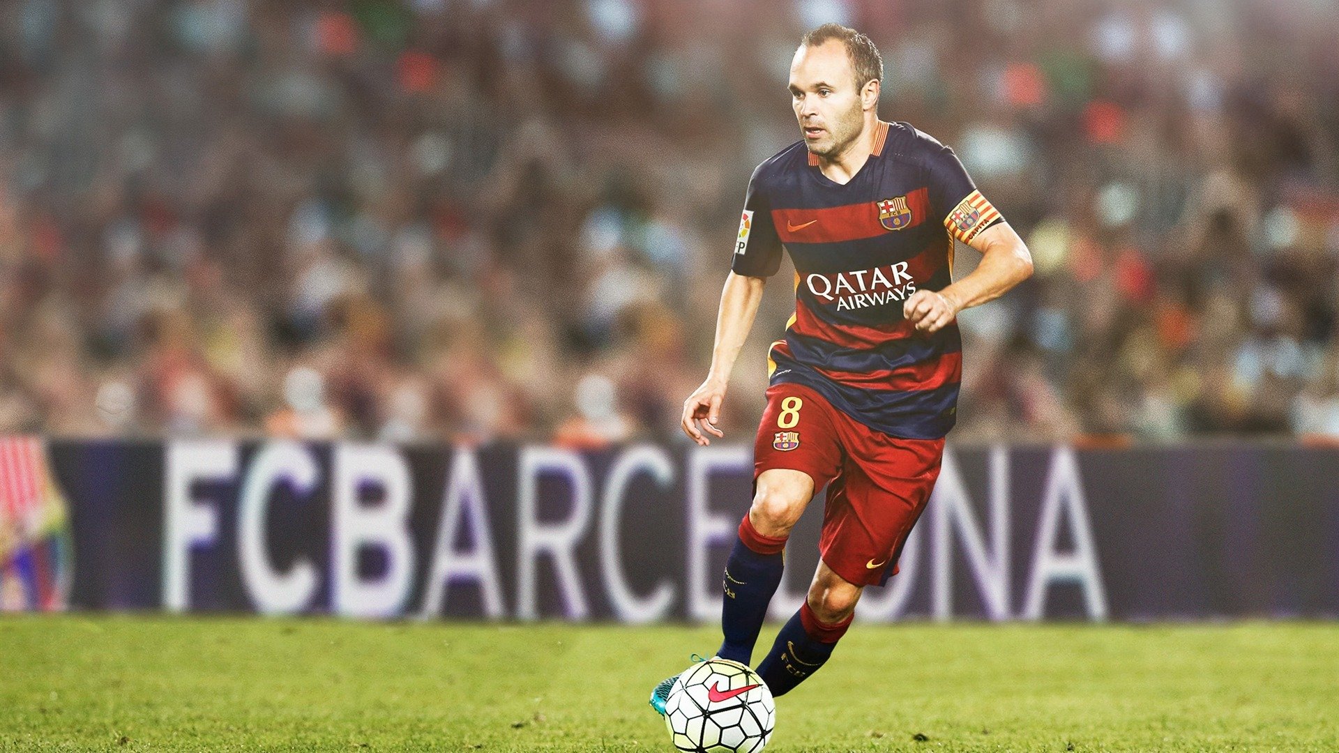 _蓝色海域的跳水表演：水之女王归来_，跳水之国