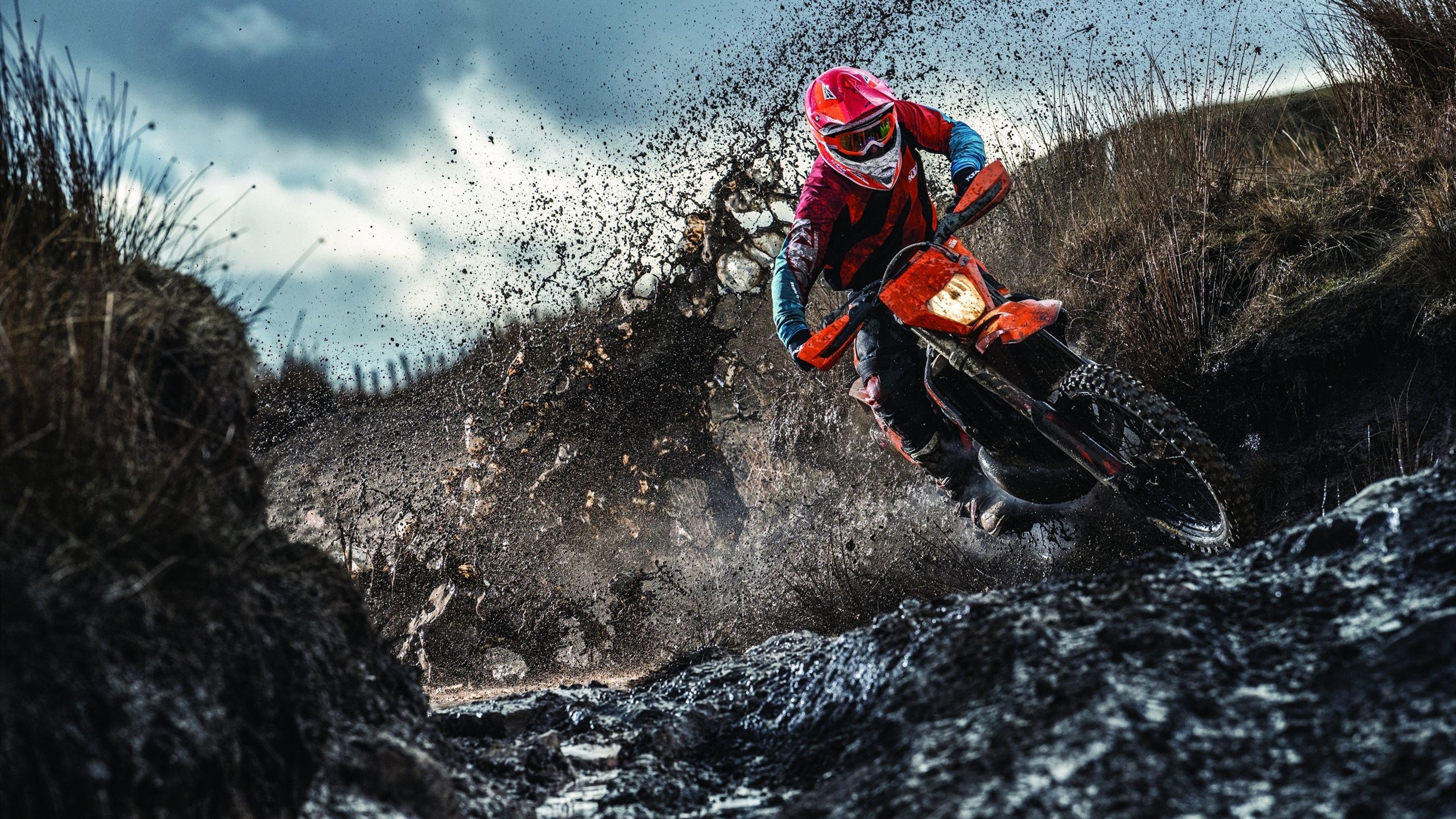 图卢兹成功保级,继续征战法甲,图卢兹insa